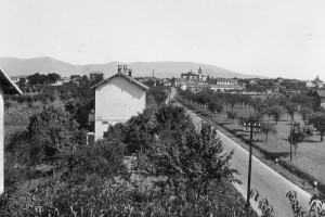 Panorama